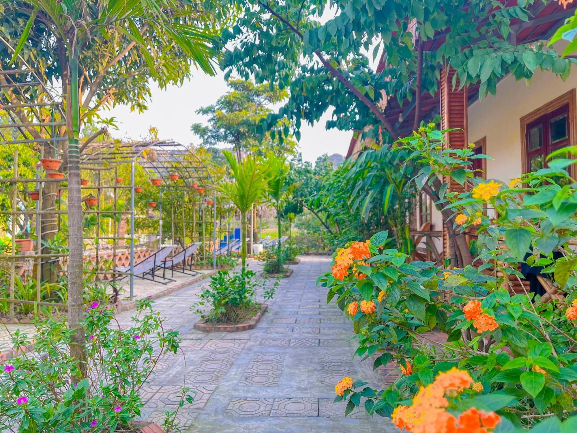 Trang An Quynh Trang Happy Homestay & Garden Ninh Binh Buitenkant foto