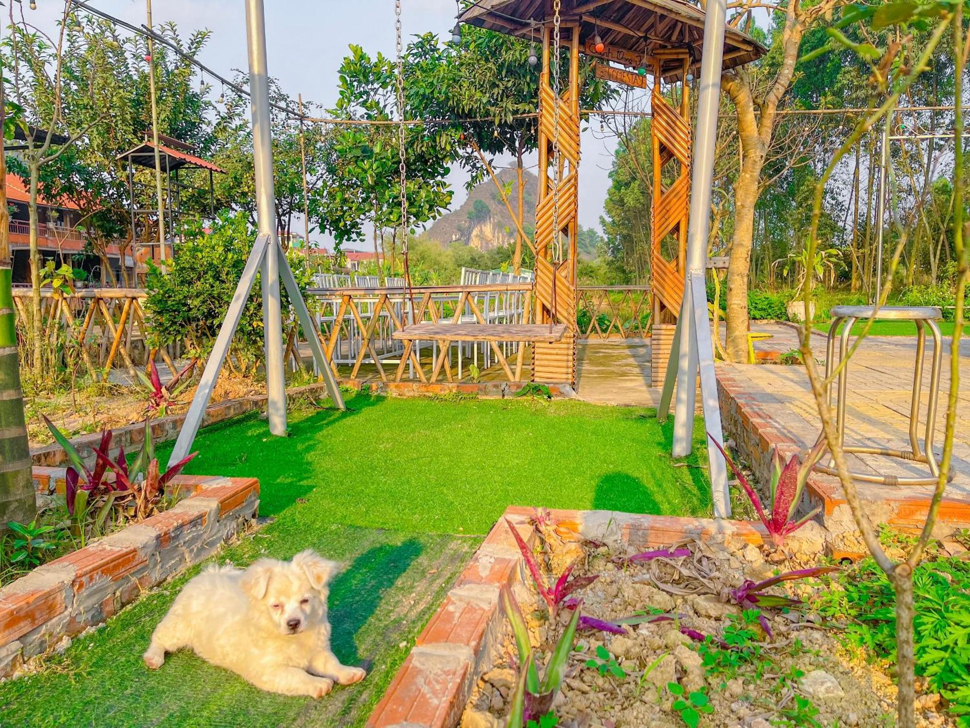 Trang An Quynh Trang Happy Homestay & Garden Ninh Binh Buitenkant foto