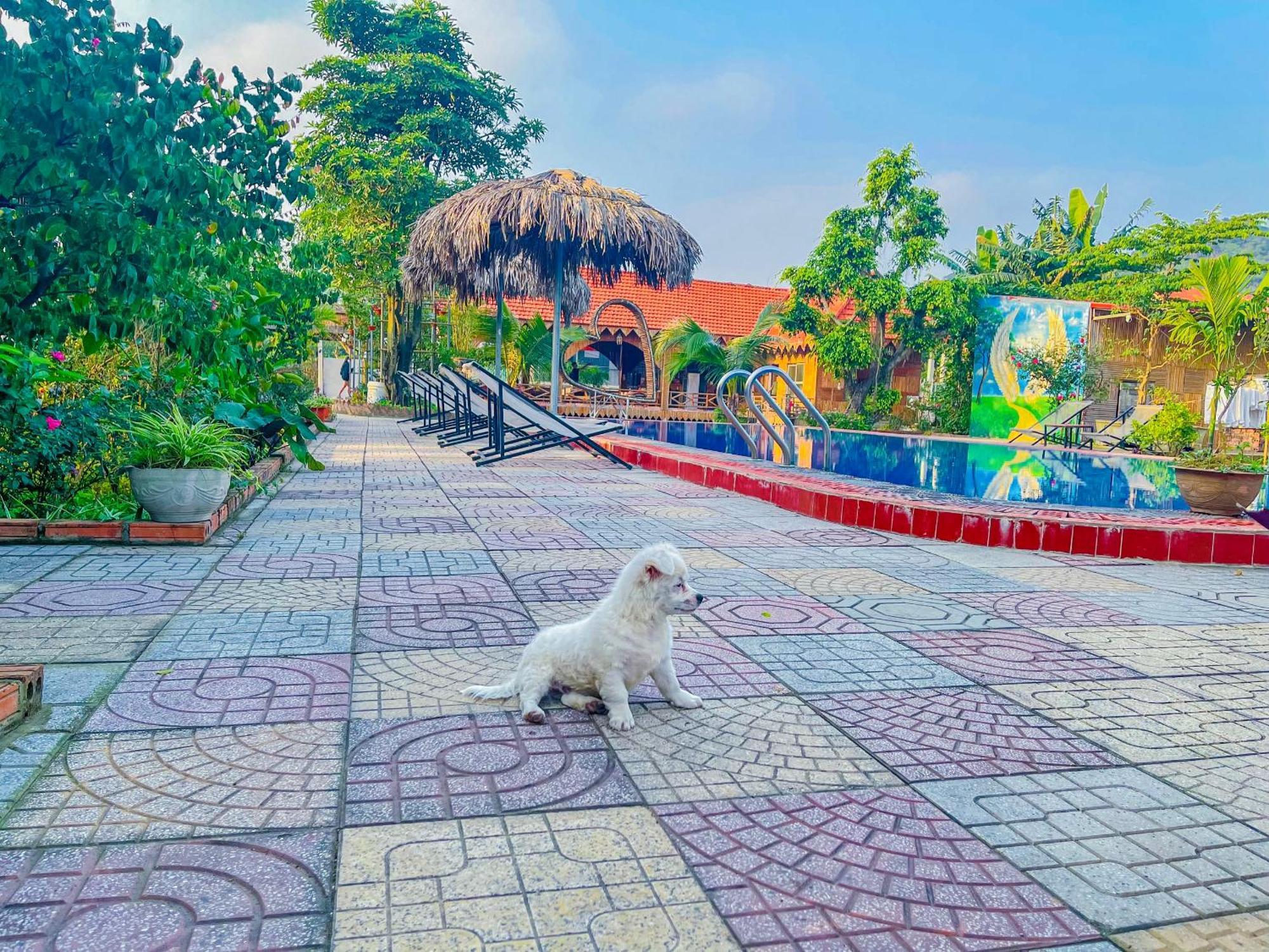 Trang An Quynh Trang Happy Homestay & Garden Ninh Binh Buitenkant foto