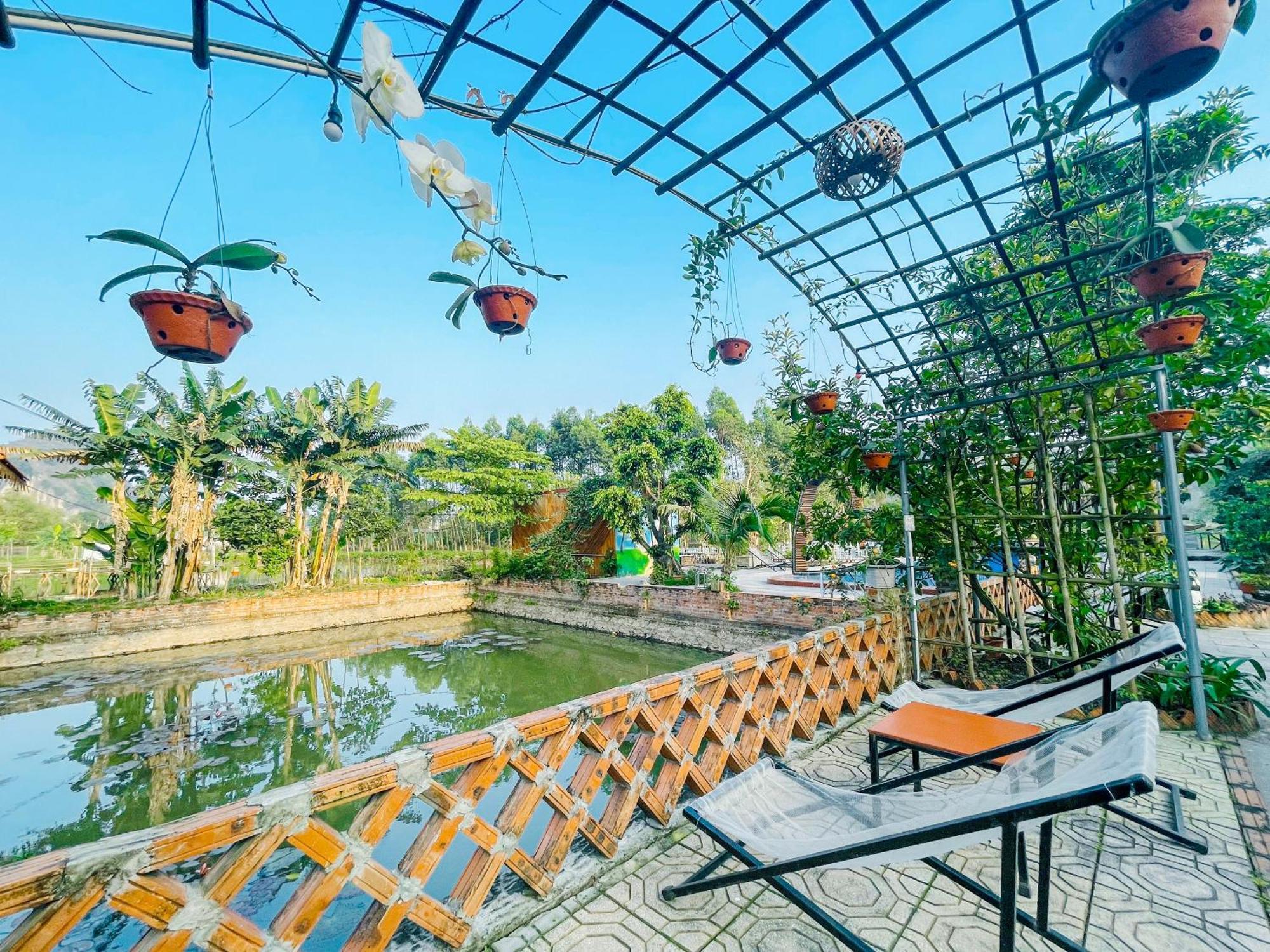 Trang An Quynh Trang Happy Homestay & Garden Ninh Binh Buitenkant foto
